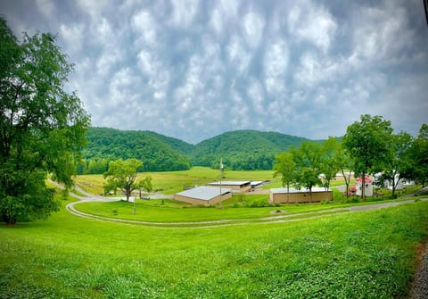Spring, Day, Natural landscape, Mountain view