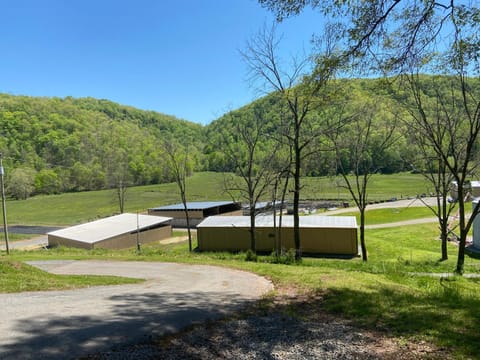 Natural landscape, Quiet street view