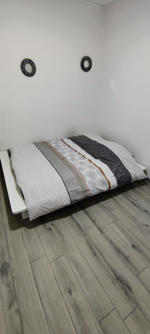 Appartement en centre ville Apartment in Thonon-les-Bains