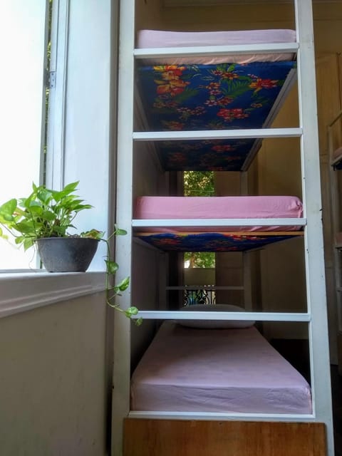 Lapa Casa Hostel in Santa Teresa