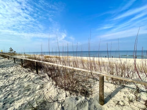Nearby landmark, Natural landscape, Beach