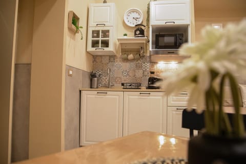 Kitchen or kitchenette, minibar, oven, stove