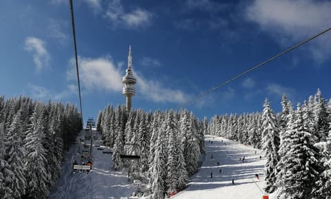 Private Apartments in Hotel Snezhanka Apartment in Decentralized Administration of Macedonia and Thrace