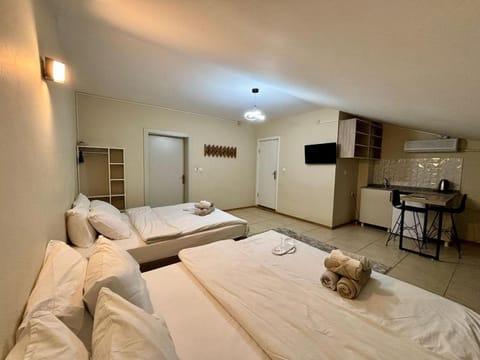 Bed, TV and multimedia, Kitchen or kitchenette, Photo of the whole room, Bedroom, towels, air conditioner