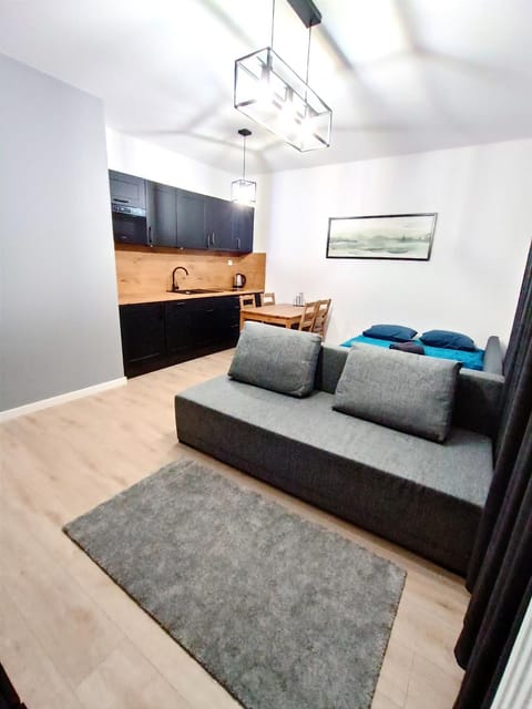 Bed, Kitchen or kitchenette, Photo of the whole room, Seating area