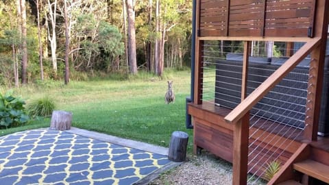 Natural landscape, Garden