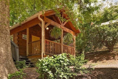 Ani Cabin Tiny Home Bordered By National Forest Cabin in Chattanooga