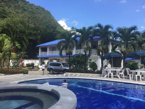 Natural landscape, Garden, Swimming pool