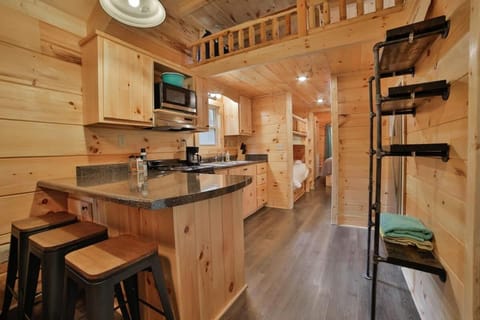 Eden Cabin Forested Tiny Home On Lookout Mtn Cabin in Chattanooga