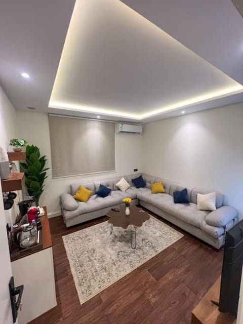 Living room, Photo of the whole room, Seating area, air conditioner