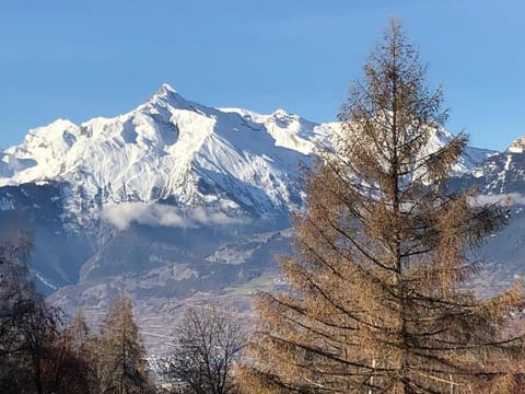 Chalet Rossier Mayens de Sion aux 4 Vallées Chalet in Sion