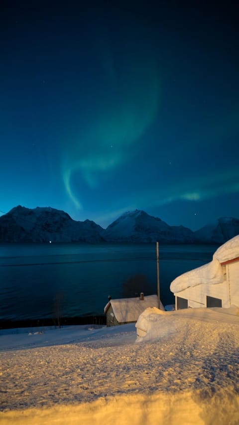 Villa Lyngenfjord House in Troms Og Finnmark