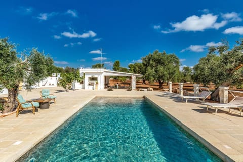 Garden, Swimming pool, sunbed