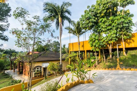 Property building, Garden, Garden view