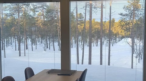 Neighbourhood, Natural landscape, Winter, Living room, Seating area