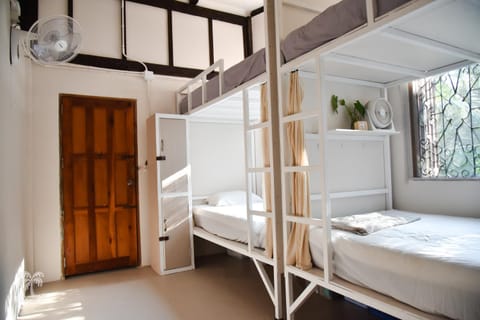 Bed, Photo of the whole room, Bedroom, bunk bed