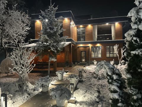 Night, Winter