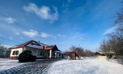 Property building, Winter, Garden