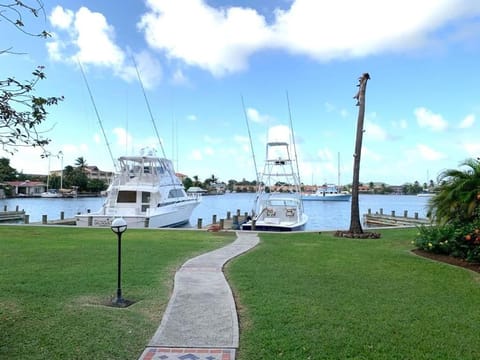 Lake view