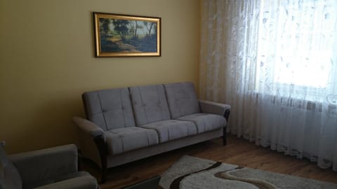 Living room, Photo of the whole room
