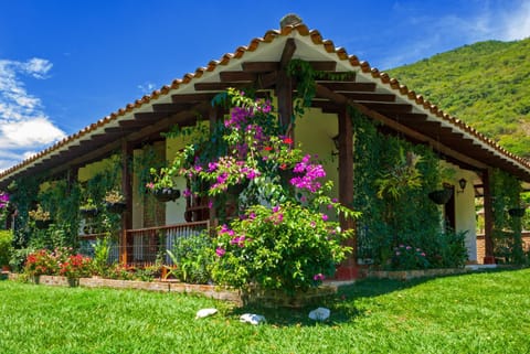 Natural landscape, Garden view, Mountain view