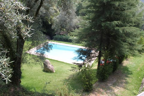 Day, Pool view