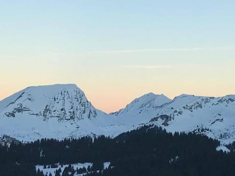 BILLY AVORIAZ - Résidence SASKIA B07 Apartment in Avoriaz