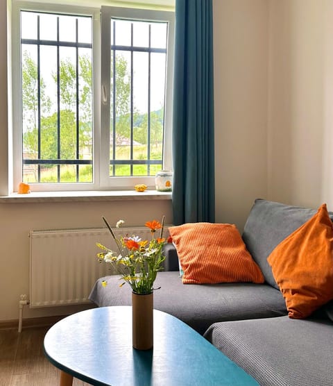 View (from property/room), Living room, Seating area, internet