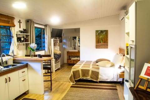 Bed, Kitchen or kitchenette, Living room, Photo of the whole room, Seating area, Bedroom