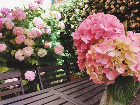 Garden, Garden, Decorative detail, Garden view, Garden view