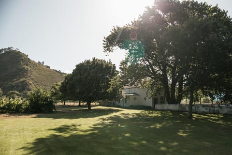 Spring, Day, Natural landscape, Garden, Garden view, Mountain view