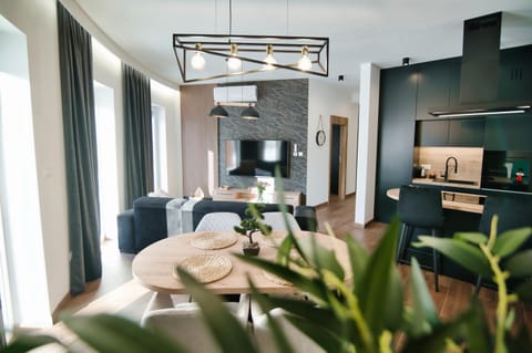 TV and multimedia, Kitchen or kitchenette, Living room, Photo of the whole room, Seating area, Dining area