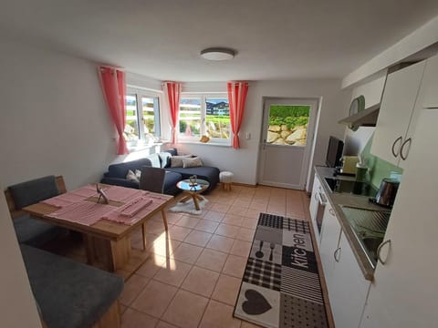 Kitchen or kitchenette, Living room, Seating area, Dining area, oven, stove