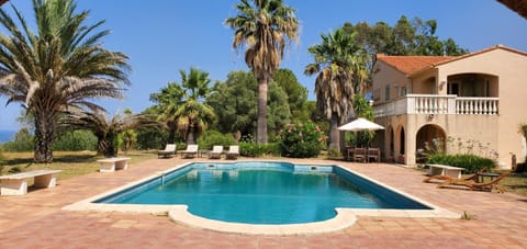 Patio, Day, Garden, Garden view, Sea view, Swimming pool, Swimming pool, sunbed