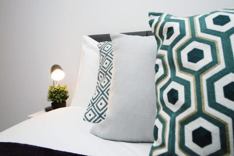 Cardiff Central 2-Bedroom on North Road Apartment in Cardiff