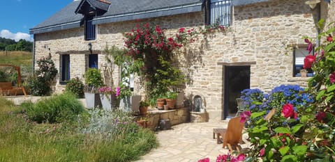 Patio, Facade/entrance