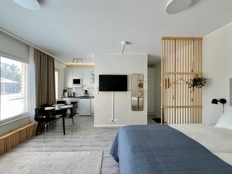 Bed, TV and multimedia, Kitchen or kitchenette, Photo of the whole room, Seating area, Dining area