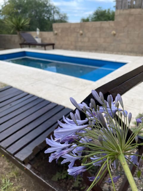 Garden, Pool view, Swimming pool, Swimming pool