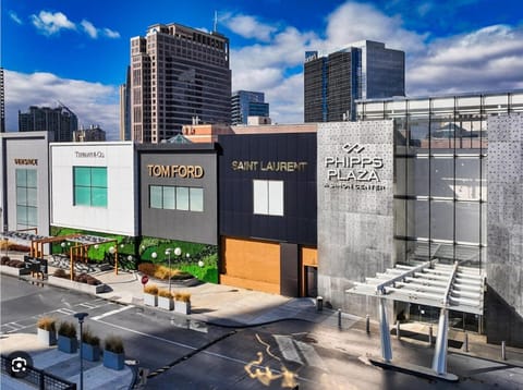 RM2 - 1bdr 1bath Cozy ensuite shared Condo Vacation rental in Buckhead