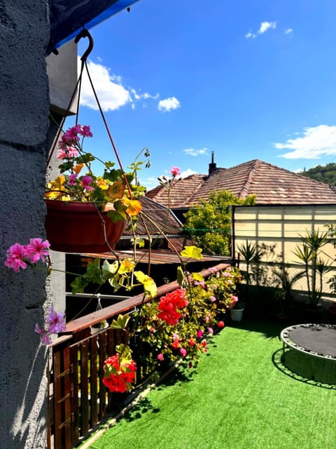 Patio, Garden, Garden view