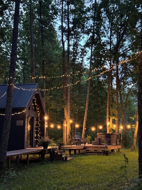 Property building, Night, Natural landscape