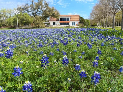 Road Runner Lodge House in Hudson Bend