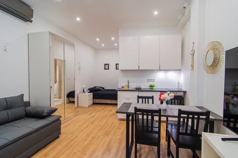 Bed, Kitchen or kitchenette, Living room, Dining area, wardrobe, air conditioner