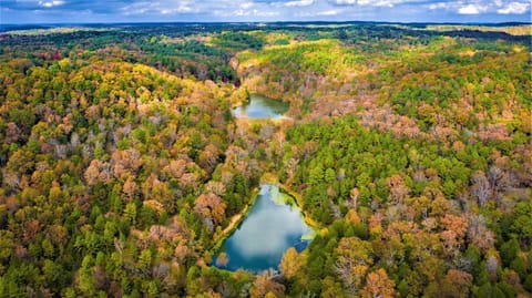 Natural landscape, Bird's eye view