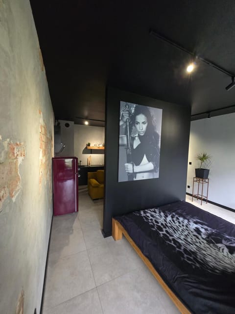 Design Vistula old town apartment private underground parking Apartment in Krakow