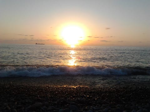Beach, Sunset