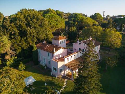 Bird's eye view, Garden