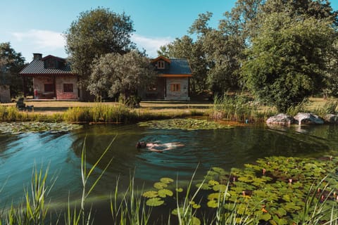 Property building, Off site, Garden, Garden view, Pool view, Swimming pool