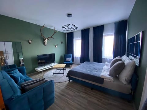 Bed, TV and multimedia, Living room, Photo of the whole room, Seating area, Bedroom