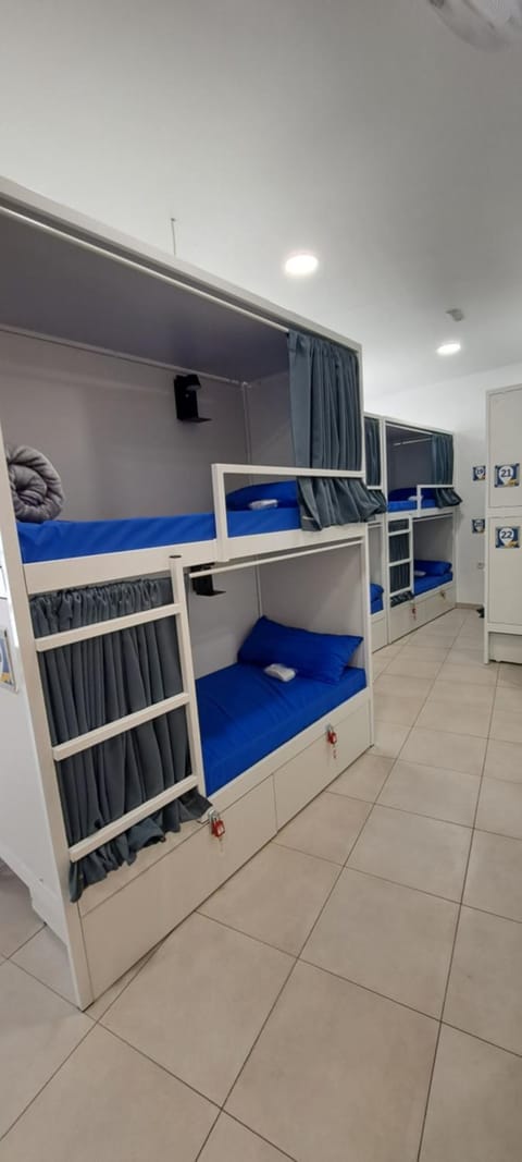 Bed, Photo of the whole room, Bedroom, bunk bed